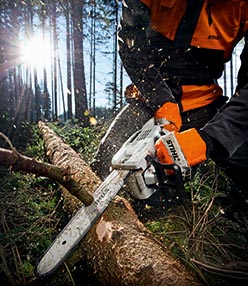 chainsaw rental valemount